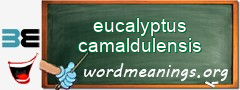 WordMeaning blackboard for eucalyptus camaldulensis